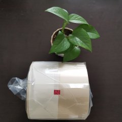 杰彩全自动摆药机包装膜 药房自动化 厂家直售 净化车间生产
